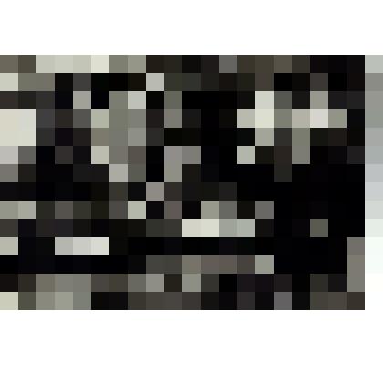 Фото: «Похороны немки Эмилий Гофманн»