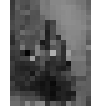 Стеклянный негатив. "Лаврентий Попов"