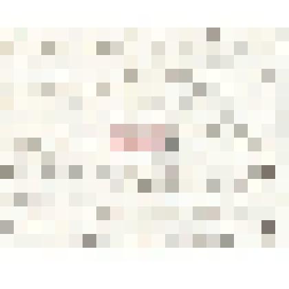 Письмо неустановленного лица Н. М. Мартьянову с просьбой присылать ему высушенные грибы из Сибири, в свою очередь он вышлет ему грибы из своих коллекций