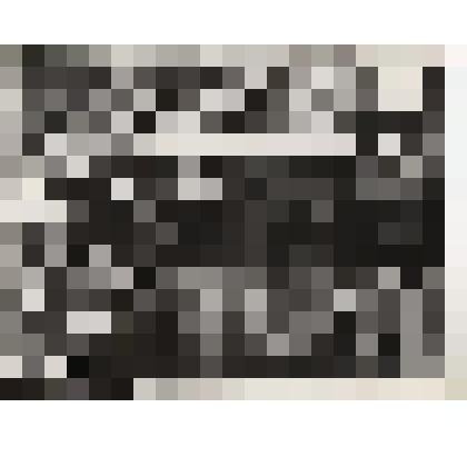 Фотография. Гребенщикова Анна Васильевна в группе ветеранов Великой Отечественнорй войны в Минске (Хатынь)