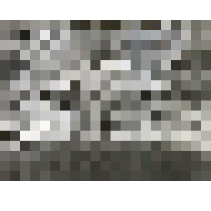 Негатив фотографии  "Уездная конференция  Союза текстильщиков"  19. 09. 1925 год