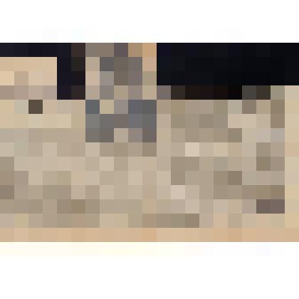 Вырезка из газеты. Известия