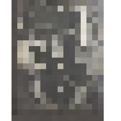 Л.Н.Толстой, С.А.Толстая и неизвестный