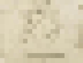 Евгений Телегин. Из серии "Владимирские художники"