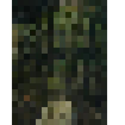 Мой двор. Дождик