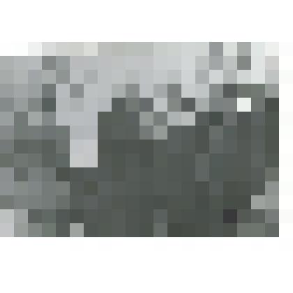 Фото.
Фотопортрет групповой «Однополчане Г.С.С. Безрукова Н.Г.»