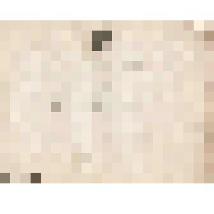 Телеграмма № 19792 в г. Чердынь В. Н.Алину от Копытова с Казанской биржи, 28.11.1890 г