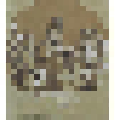 Геркулес Гальский, или Красноречие