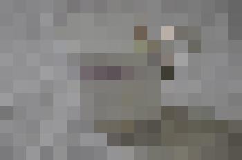 Чашка чайная фарфоровая