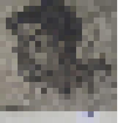 "Портрет молодого казаха"