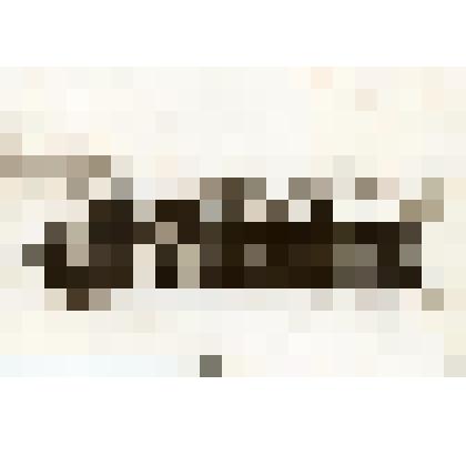 Фото чёрно-белое сюжетное: вокальная группа Поярковского  хора