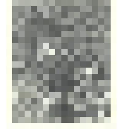 Иллюстрация к II главе ч. 2 «Княжна Мери». По оригинальному рисунку Д.А.Шмаринова. Из серии иллюстраций к повести М.Ю.Лермонтова «Герой нашего времени».1955г