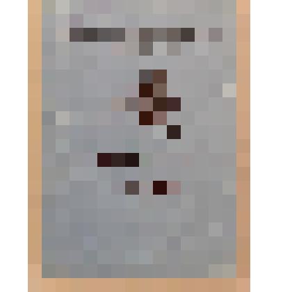 Сборник. Русская сказка: [Межвузовский сборник научных и информативных трудов] / ИГПИ им. П.П. Ершова. - Ишим: Ишимская тип.,1995. - 208 с