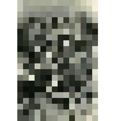 Фотография. Комсомолец избач В.Е. Михалев и колхозники Жемовского колхоза Зарайского района во время отдыха