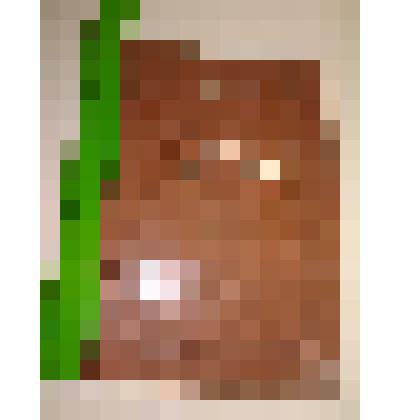 Книга. Кунафин Г. Башкирская литература 19 века