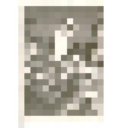 Фотография. Губина Нина, рабочая в тортовом цехе Каменского хлебозавода