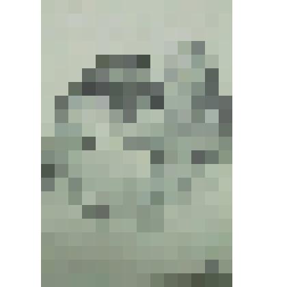 Шарж. Священнослужитель и ключница. Рисунок