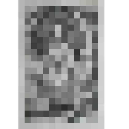 Портрет Марии Стюарт, королевы Англии и Шотландии, супруги Вильгельма III Оранского, короля Англии и Шотландии