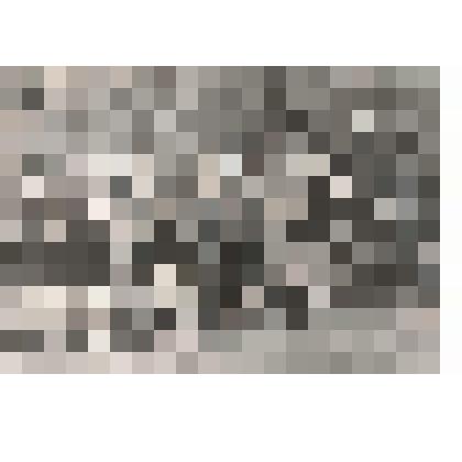 редкие фотоснимки. Ысыах в местности Угут- Куель