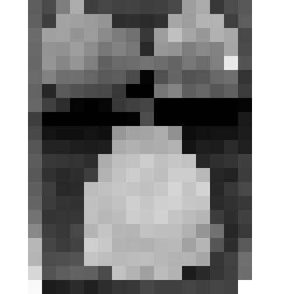 Негатив на стекле: Древности Минусинского музея; глиняные сосуды  3 сосуда