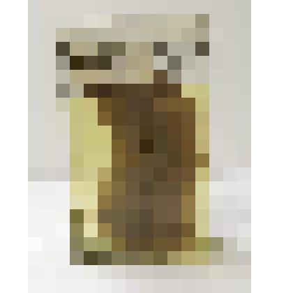 Влажный препарат. Тонкая кишка лошади. Некроз слизистой оболочки