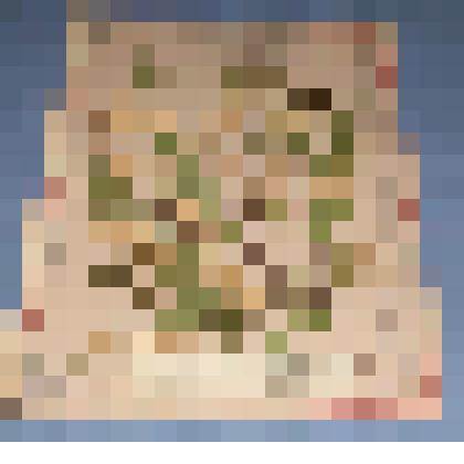 Ботаническая коллекция. Черемуха обыкновенная, на гербарном листе,окрестности с. М.- Имыш Ужурского района Красноярского края. Rosaceae Padus racemosa