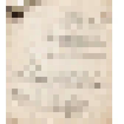 Телеграмма № 38 в г. Чердынь В.Н.Алину от Титова из г. Усть-Кулома, 14 июля