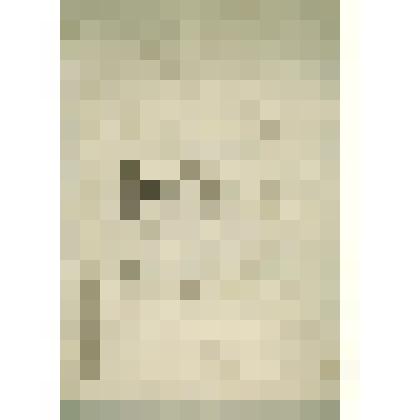 Реестр докладной  Сольвычегодского  Духовного  правления