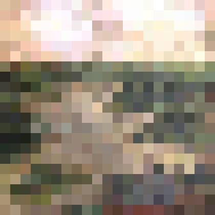 Пейзаж «Озеро»