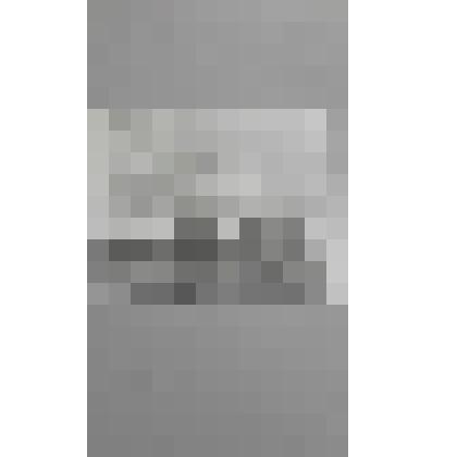 Фотография черно-белая "Тюлени"