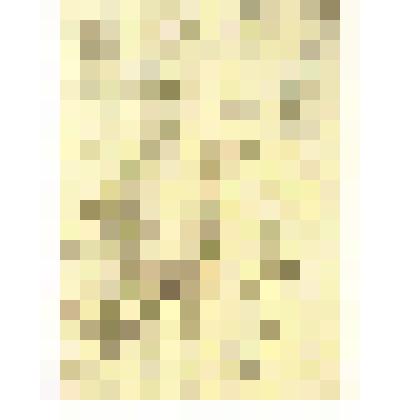 Карта. Лист 3. Карта  р. Иртыш от истоков до Тобольска. 1734г. (копия)