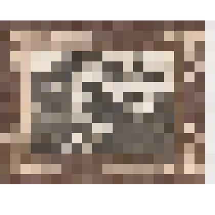 Ф/чб/п. Школа крестьянской (колхозной) молодежи с. Федоровка (4 ряд 5 слева Гевлич Василий Павлович). АССР НП. 1926-1928