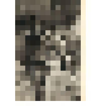 Фотооткрытка "Юрий Гагарин спускается по трапу самолёта, доставившего его с места приземления" с фото А.Алексеева