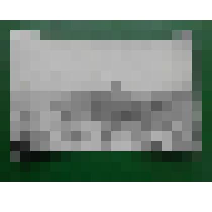 Фотография. Плантация капусты