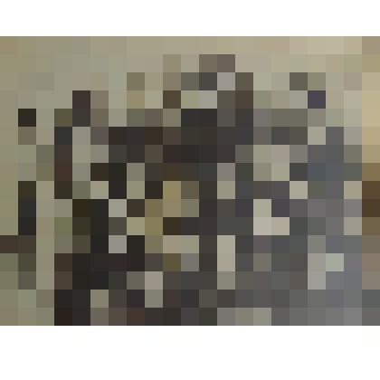 Фотография. Группа учеников 1-го класса