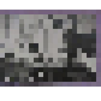 ФОТО. ОБСУЖДЕНИЕ ДАЛЬНЕЙШЕГО СОТРУДНИЧЕСТВА  ПОРОДНЕННЫХ ХОЗЯЙСТВ СОВХОЗА НИЖНЕГОРСКИЙ  С ГОСХОЗОМ  "КИШКУНХОЛАЖ"