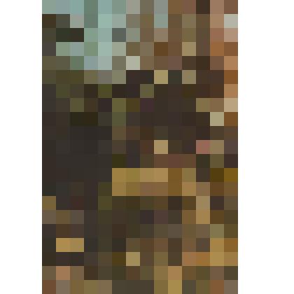 Открытка «Музей-усадьба «Поленово». Избушка в парке»