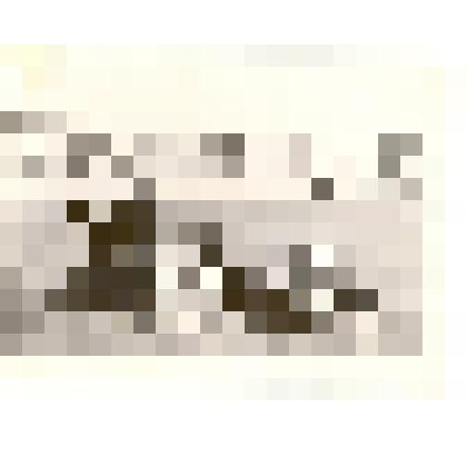 Фотография: пионеры 6-го класса Ветренно-Телеутской школы Каменского района Алтайского края на берегу реки Обь вблизи ж/д моста