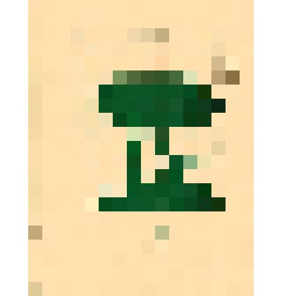 Нотное издание: Избранные романсы и песни. Для голоса и фортепиано