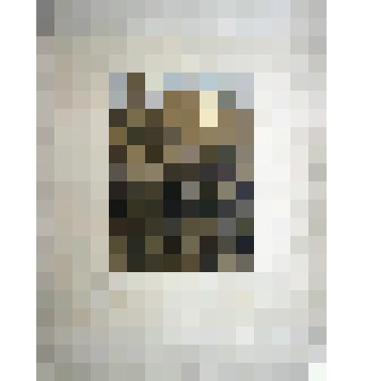 "Труд рабочих". Гравюра