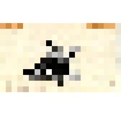 Лист 29. Примечание. Гравюры к сборнику «Леся Украинка. Избранное».1954