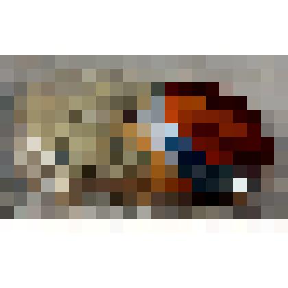 Светофильтр оранжевый ОС-12 для фотоаппарата Максимова Е.К. из коллекции материалов Максимова Евгения Константиновича, саратовского ученого, историка, краеведа, доцента СГУ, Заслуженного работника культуры РФ