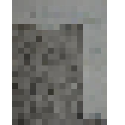 Документ. Бланк заказа на 1, 2  квартал  1991 г. Богданова М.С