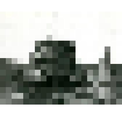 Фотография. Хранение урожая в стогах с. Чурапча Ботурусского улуса Якутского округа