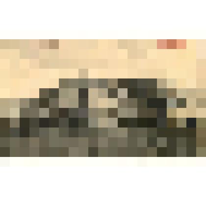 Открытка почтовая - "Никитинская библиотека. Воронеж", дореволюционное время