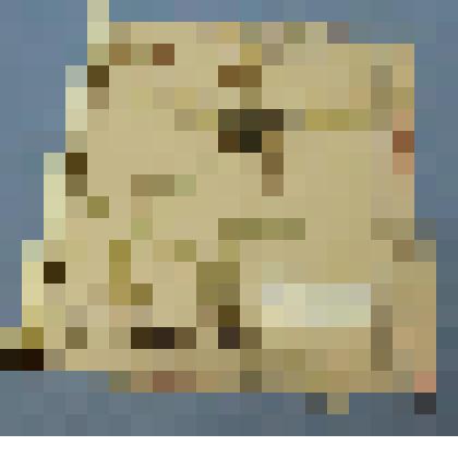 Ботаническая коллекция. Ирис, на гербарном листе, г.Абакан, вдоль дороги из Абакана в Минусинск, недалеко от села Подсинее в сосновом бору. Jridaceae Uris Sp. Rufhenica