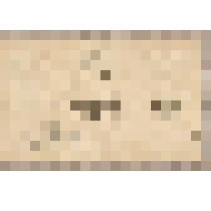 Головы животных и улитки, из альбома  «190 пейзажей; зарисовки, иллюстрации, карикатуры»