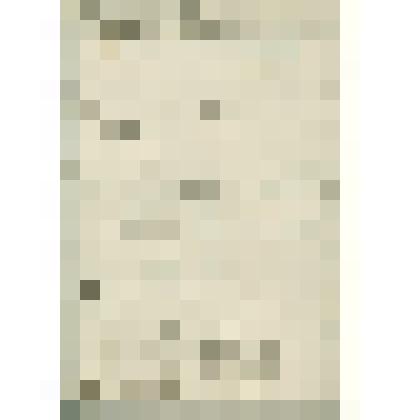 Журнал Сольвычегодского Сиротского суда