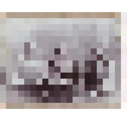 Фотография. Купчиха Евгения Зотовна Перминова (в центре) с родственницами (на фотографическом бланке)