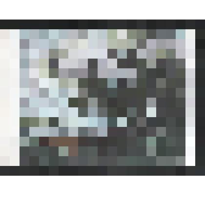 Открытка цветная художественная «Коровы на водопое»